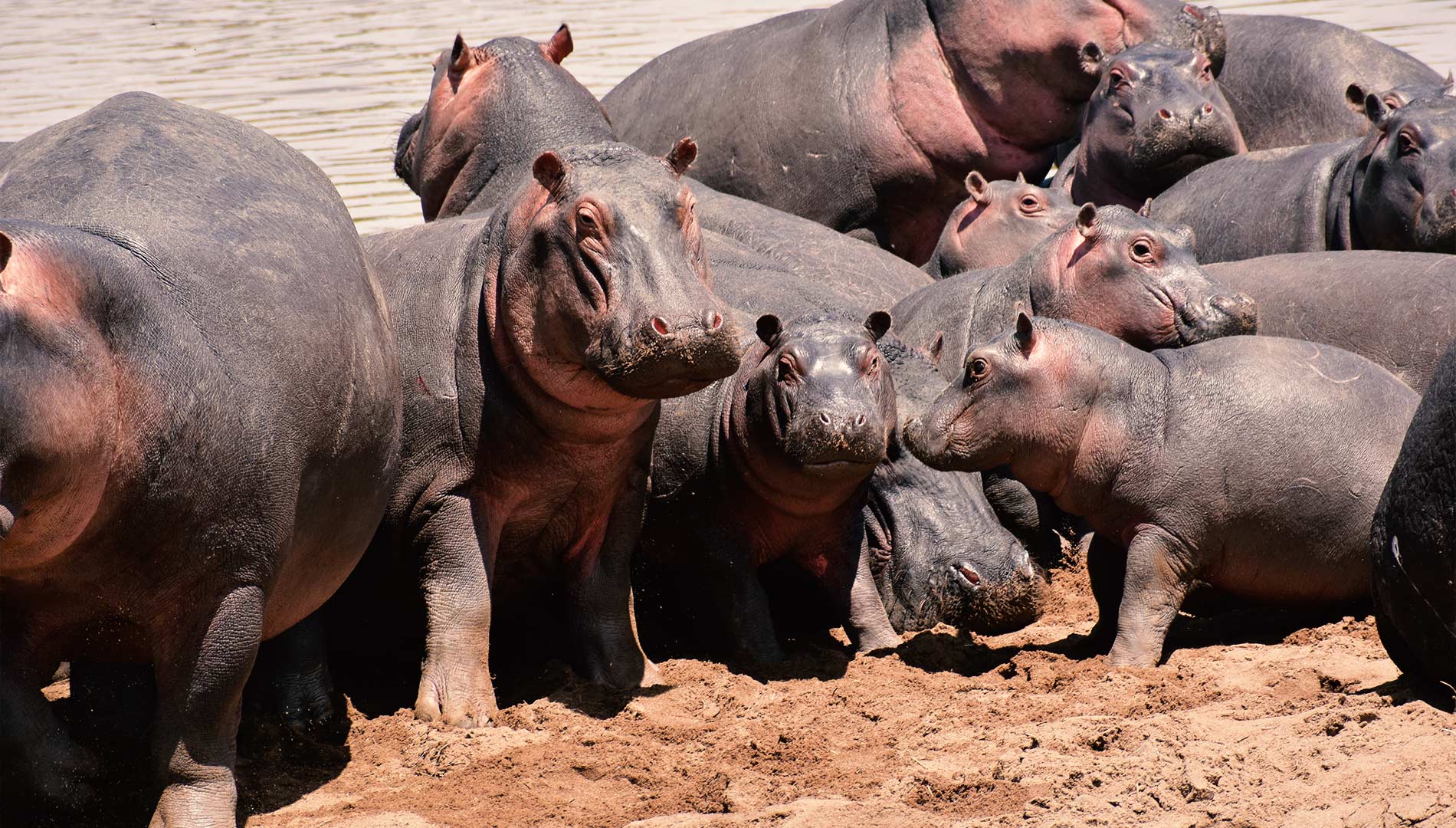 8-Days-Lodge-Safari 8 Days Lodge Safari