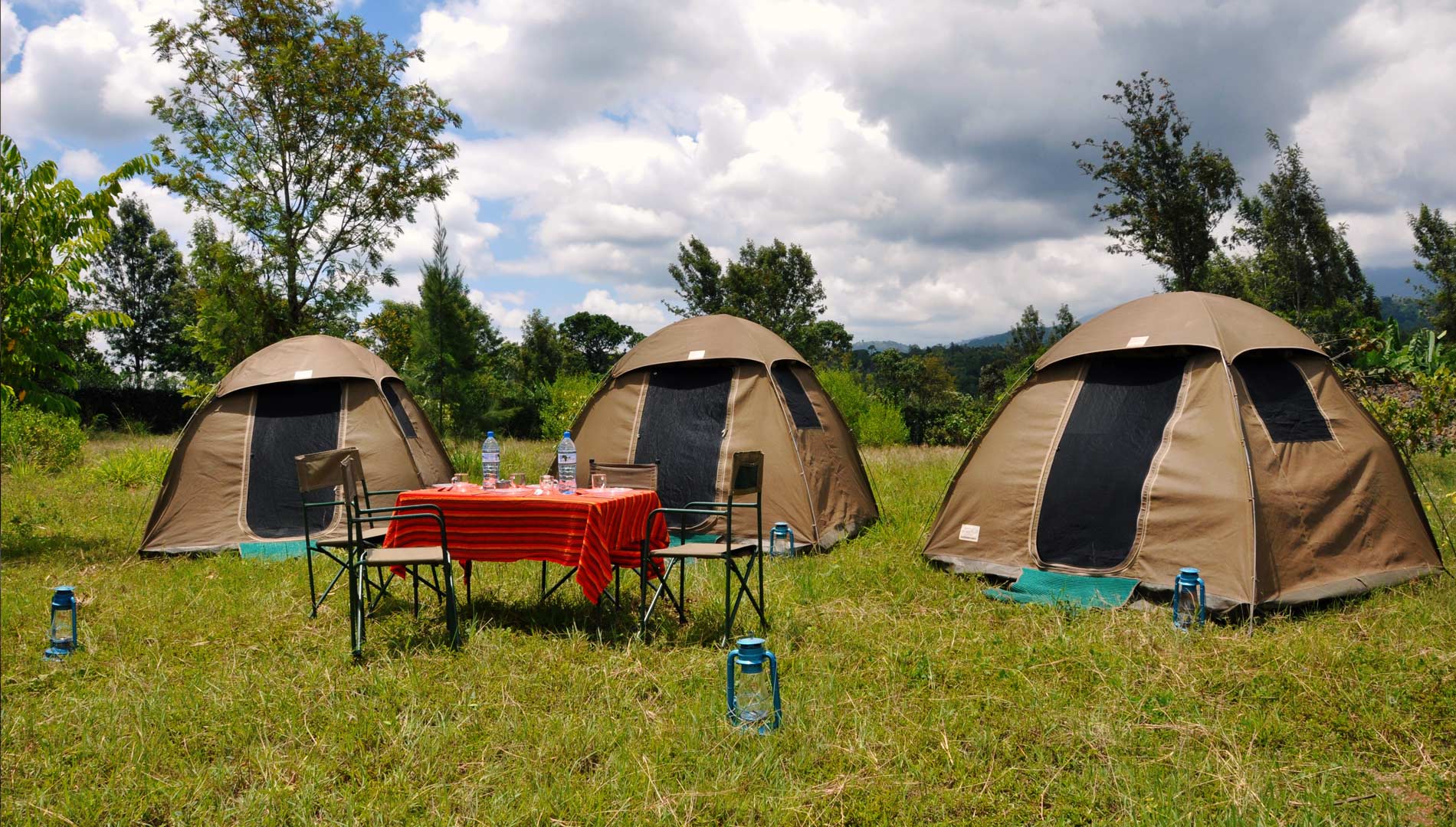 Cheetahs on a Tanzania camping safari