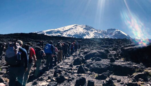 6 Days Marangu Route